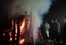 Mahasiswa di Puncak Jaya Tewas Tertembus Peluru, Diduga Ditembak Oknum Polisi