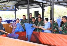 Dari Kolam RSA Farm, Lele Tumbuh untuk Ketahanan Pangan Natuna
