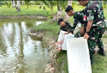 Lanud RSA Natuna Tebar 4.000 Bibit Nila Merah, Perkuat Ketahanan Pangan di Natuna