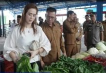 Satu Tahun Kepemimpinan Aneng–Raja Bayu, Pemkab Anambas Gelar Gerakan Pasar Murah untuk Stabilkan Harga