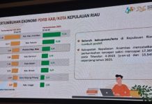 Pertumbuhan Ekonomi Anambas Tertinggi di Kepri, Bupati Aneng: Bukti Kerja Bersama Masyarakat